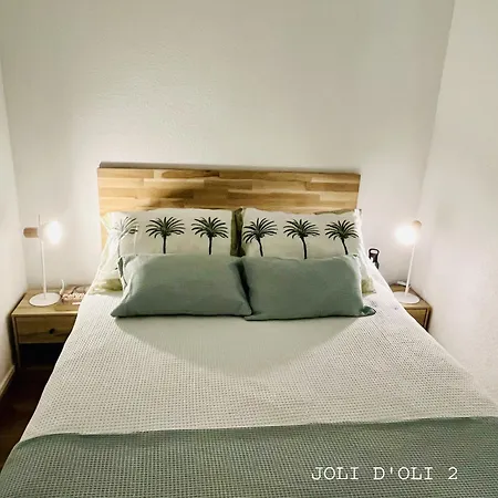 Joli D'oli 2, Collioure Vendres, Front De Mer, A Pieds 公寓