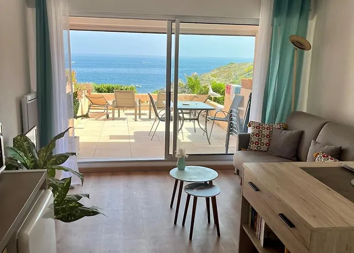 公寓 Joli D'oli 2, Collioure Vendres, Front De Mer, A Pieds *