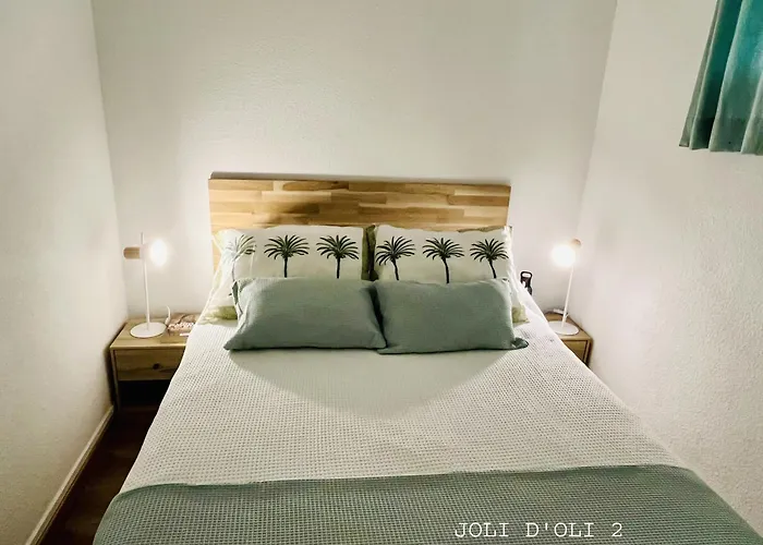 Joli D'oli 2, Collioure Vendres, Front De Mer, A Pieds 公寓