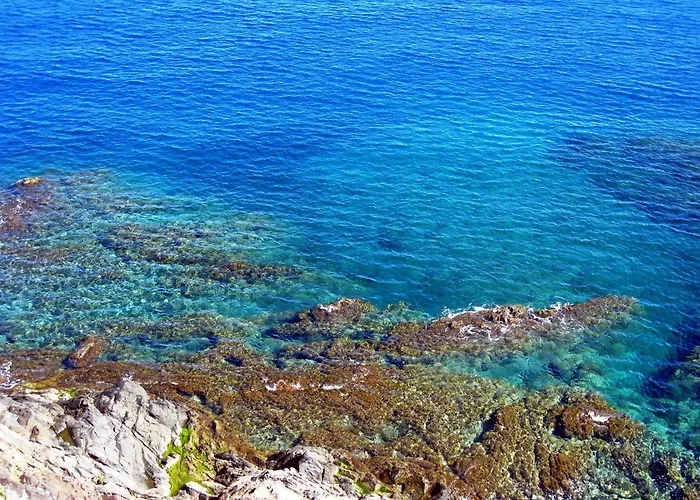 Joli D'oli 2, Collioure Vendres, Front De Mer, A Pieds 公寓 旺德尔港