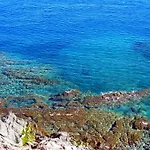 Joli D'oli 2, Collioure Vendres, Front De Mer, A Pieds Apartamento Port Vendres