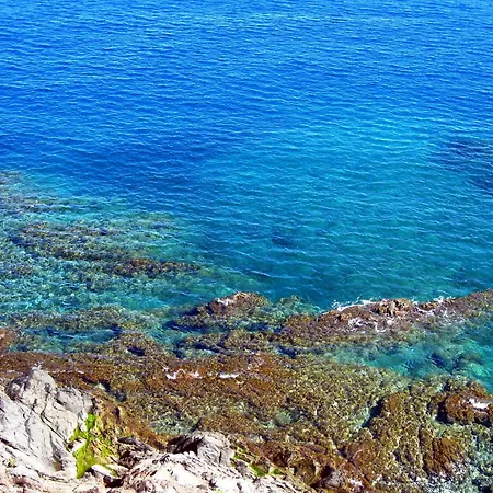 Joli D'oli 2, Collioure Vendres, Front De Mer, A Pieds Apartmán Port Vendres
